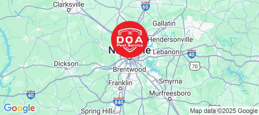 DOA Pest Service service areas